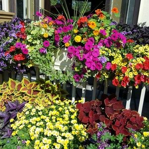 Meet your Posher, Gregory